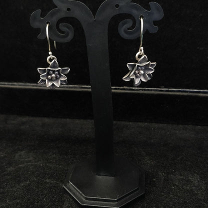 Candrin Findo Ladies Earring