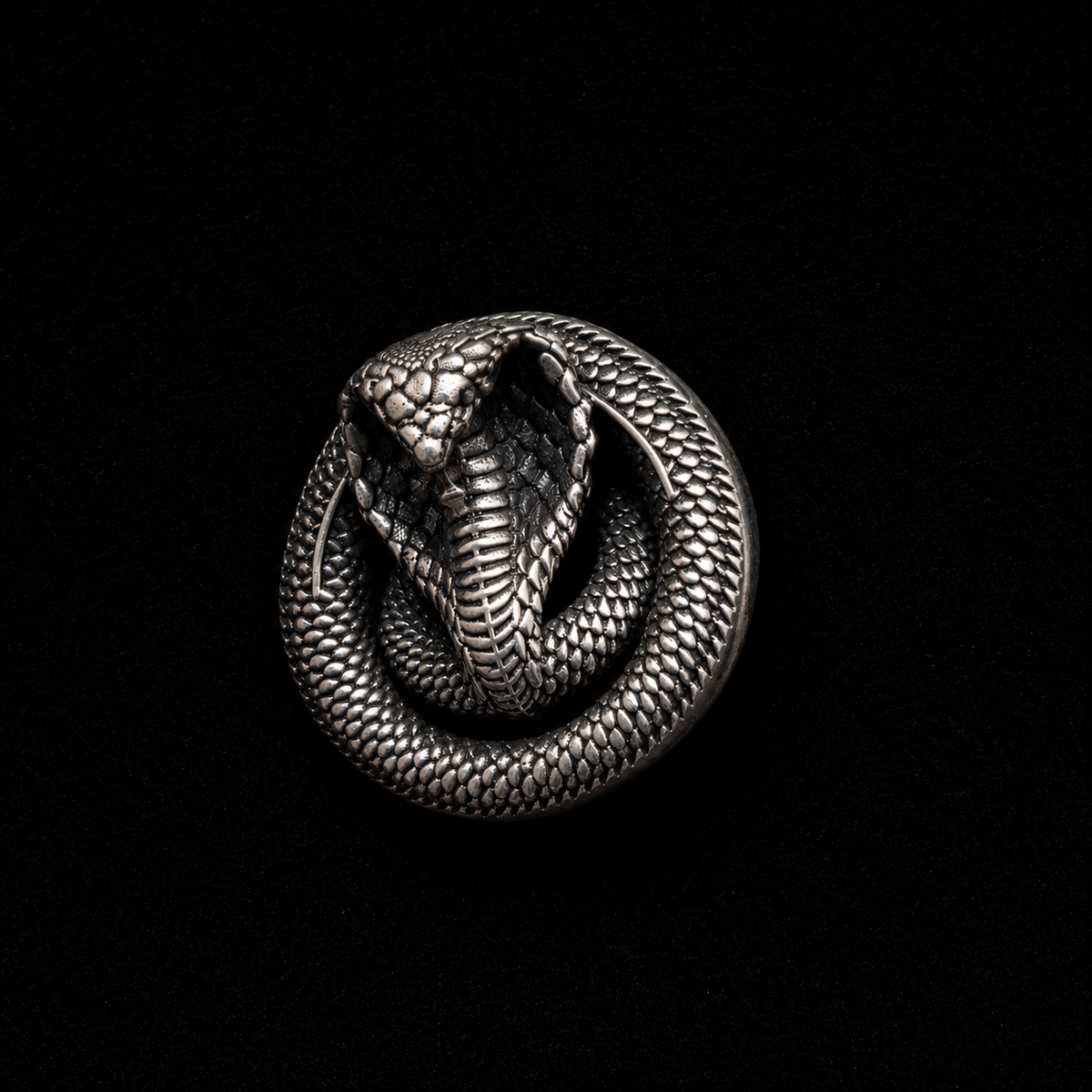 Royal Cobra Antique Silver Finish Brooch