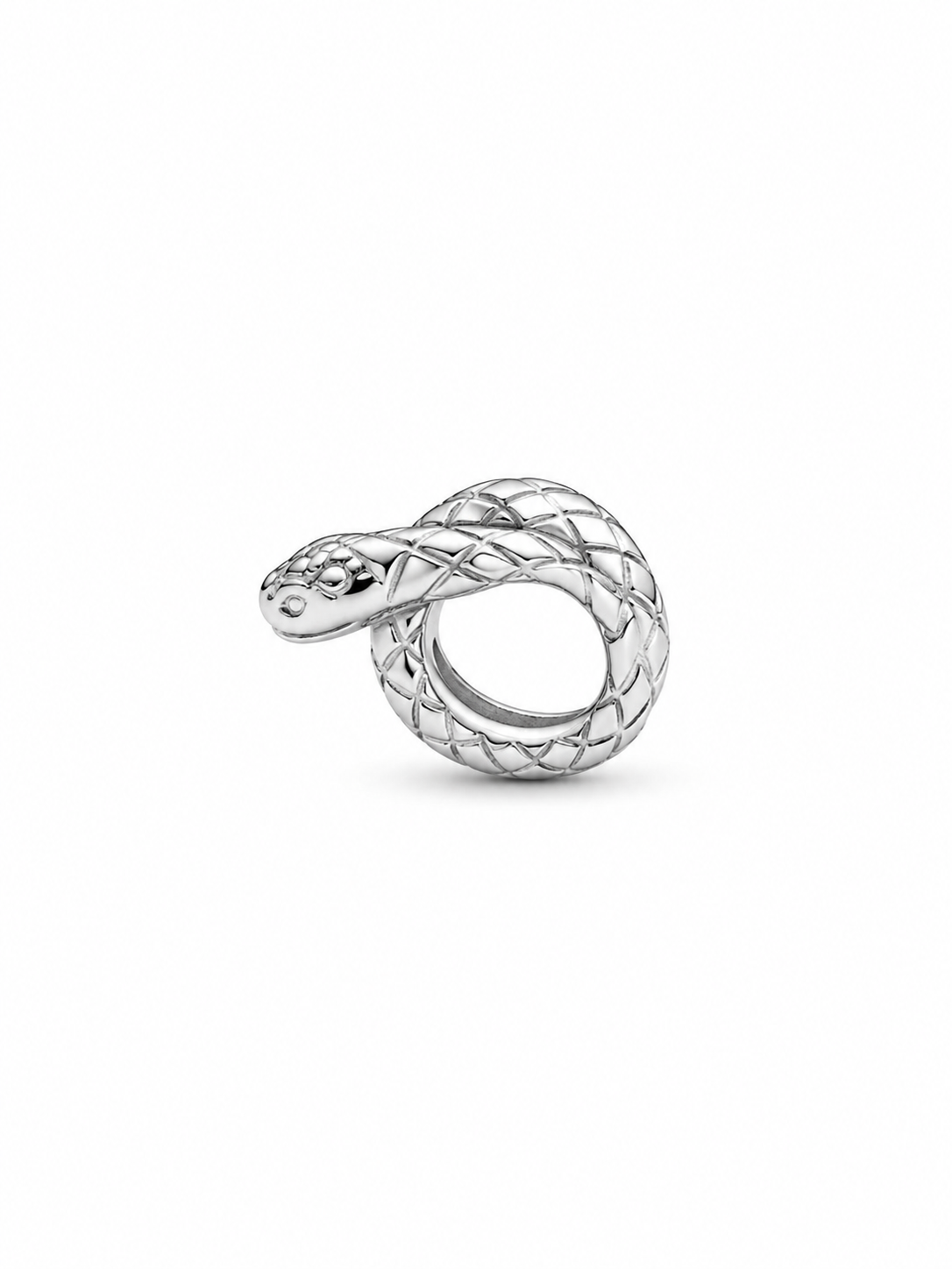 Silver Snake Charm